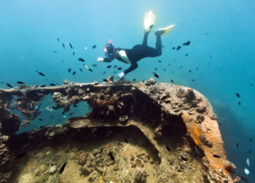 Coron Island – Reef and Wreck Tours